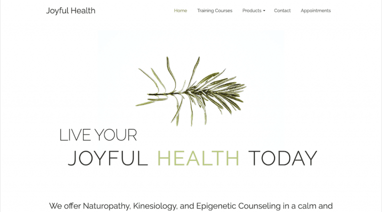 Marketing Cahaba Heights AL | SEO Cahaba Heights AL | Website Design Cahaba Heights AL | Joyful Health