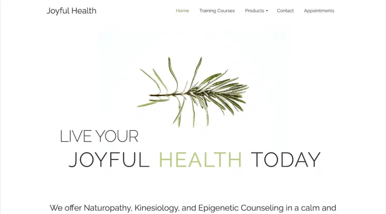 Marketing Cahaba Heights AL | SEO Cahaba Heights AL | Website Design Cahaba Heights AL | Joyful Health